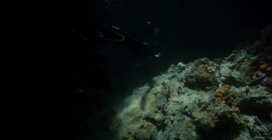Sunlight shines down on a diver in a cavern