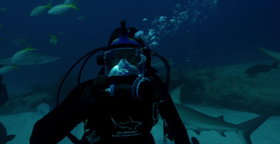 A diver swims with sharks and fish in the ocean