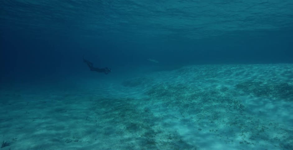 A diver swims along the bottom of the water ahead
