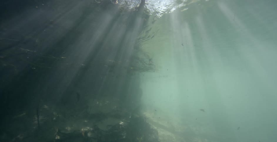 Debris moves around in the shallow pond