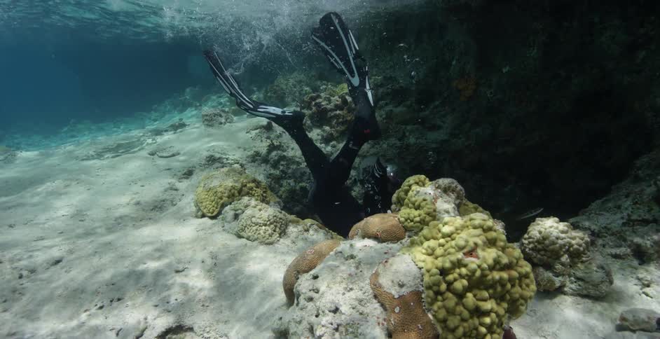 A diver swims down into a cavern in the ocean