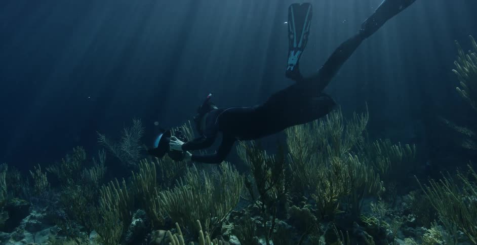 A diver swims in the ocean