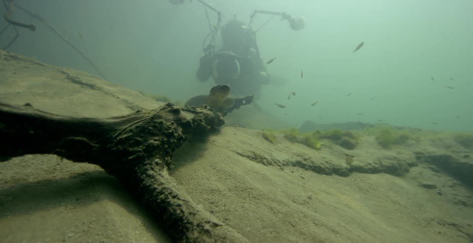 A diver photographs a large snake underwater