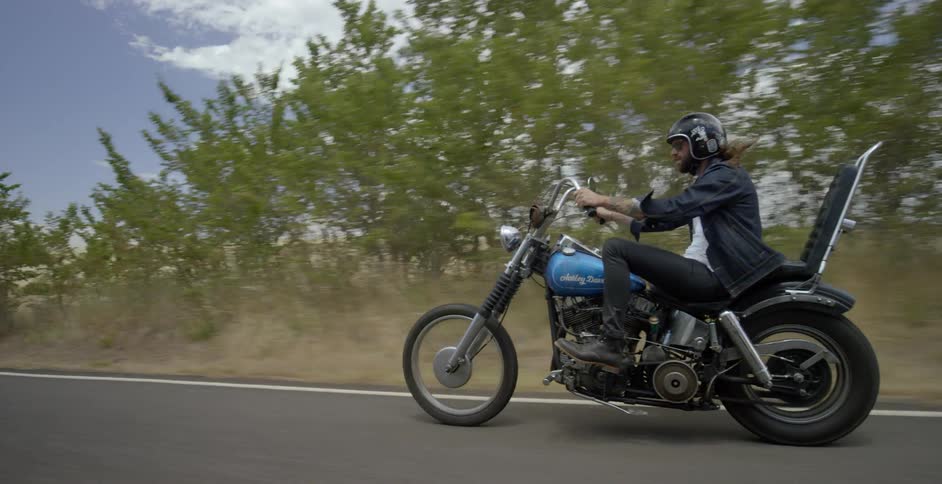Motorcycle travels down the highway next to a row of trees