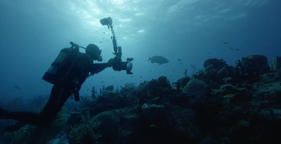 A scuba diver films fish on a reef