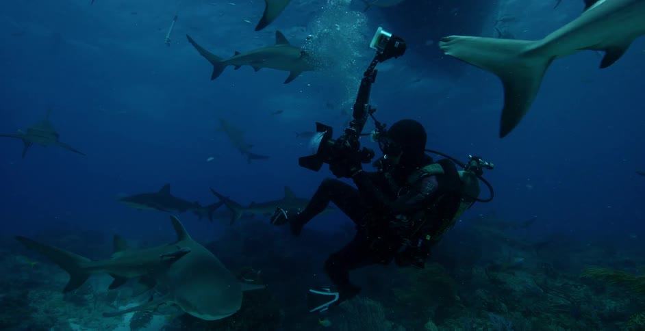 A diver photographs sharks swimming around him