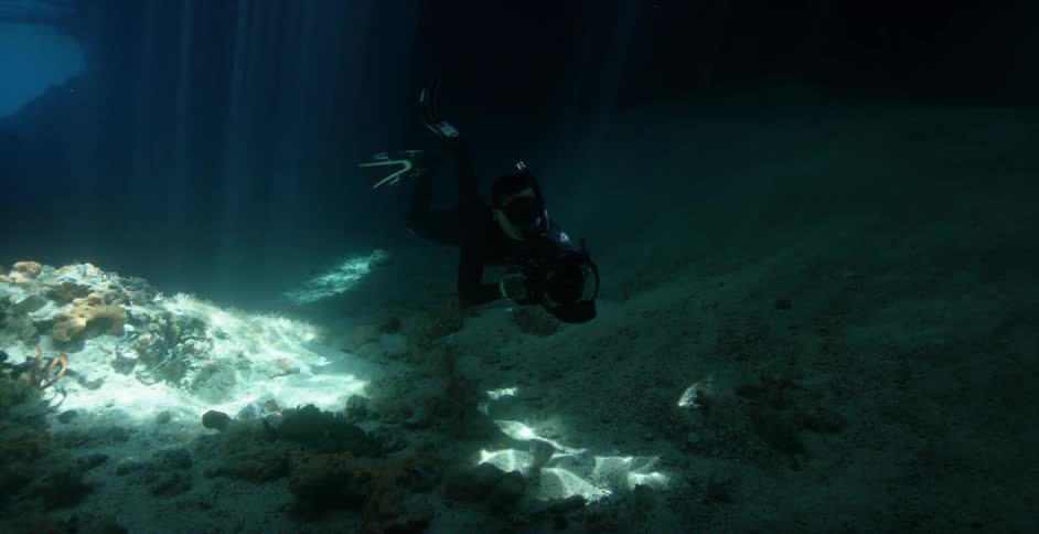 A diver is holding a camera as he swims near the ocean's floor in daylight
