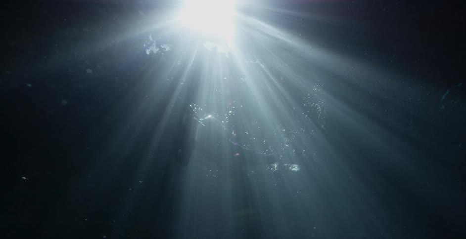 Sunlight shines through the water to the coral