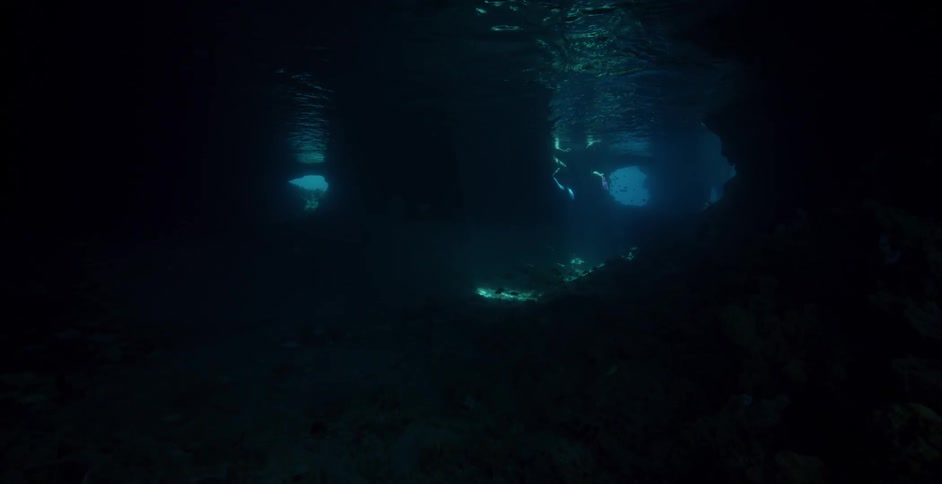 Divers swim in the ocean