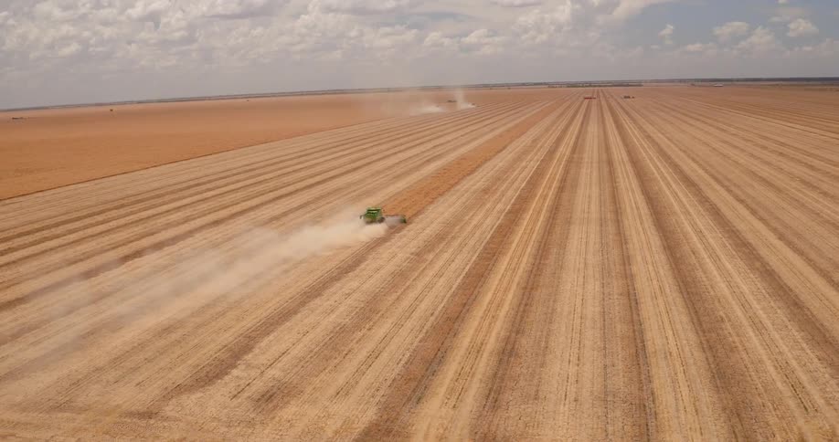 A combine harvests a crop field
