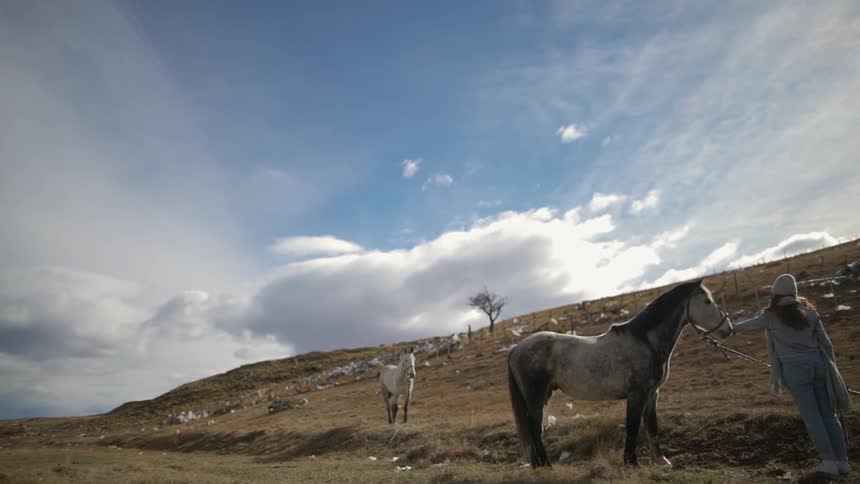 Woman feeds a horse under a blue sky
