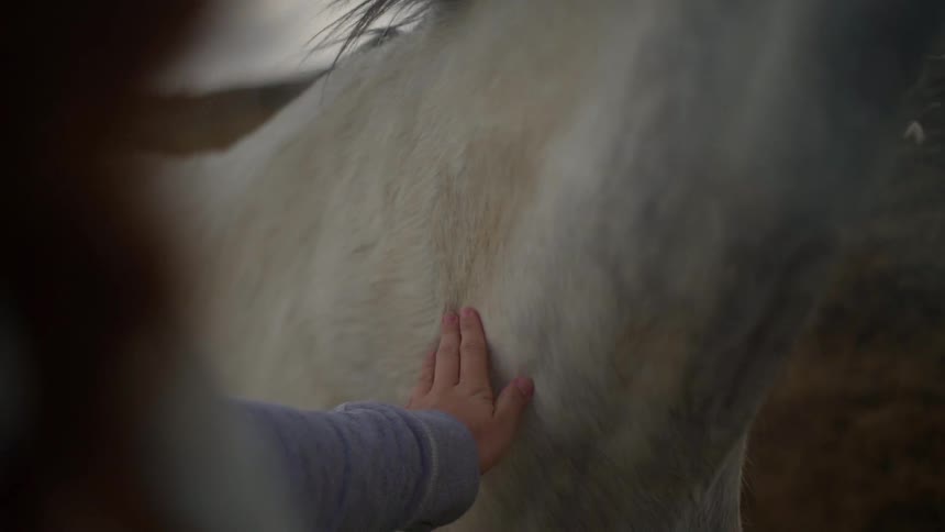 A woman is petting the neck of a horse outside during the day