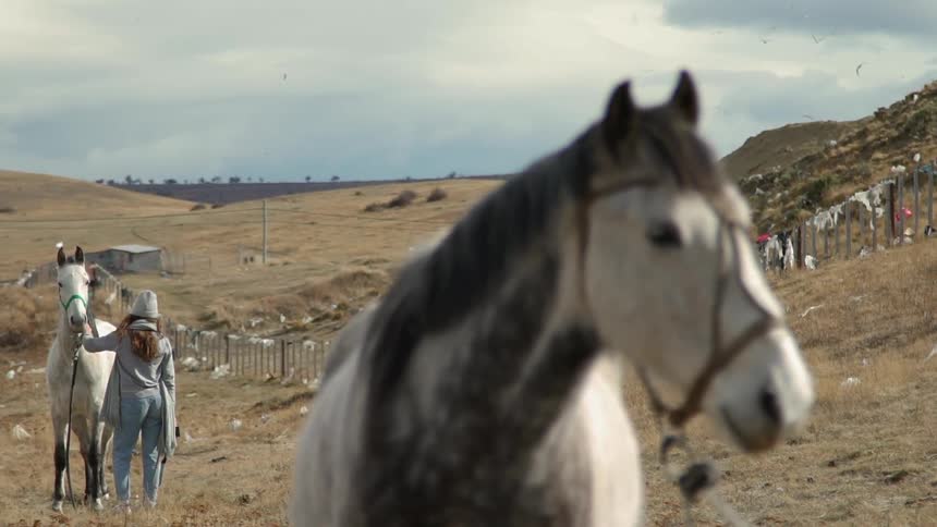 A woman stands outside with horses on rural hills