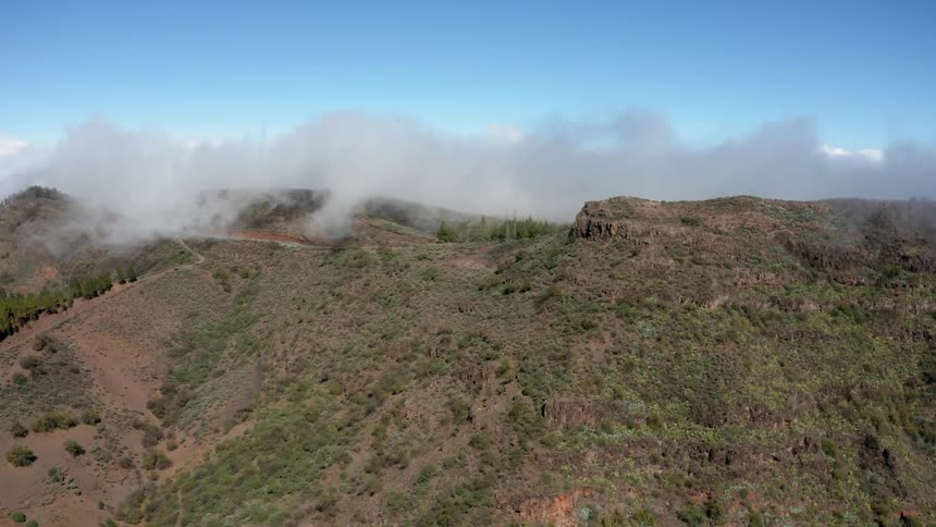 Fog is drifting over a hillside on a sunny day