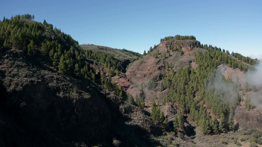 The mountains are lined with green trees on a sunny day