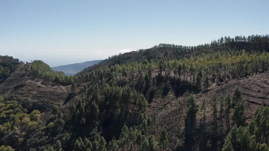 Tree covered mountains sit under a blue sky