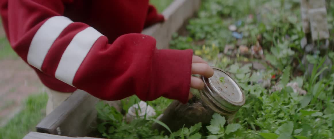 A child is playing in a backyard garden in daylight