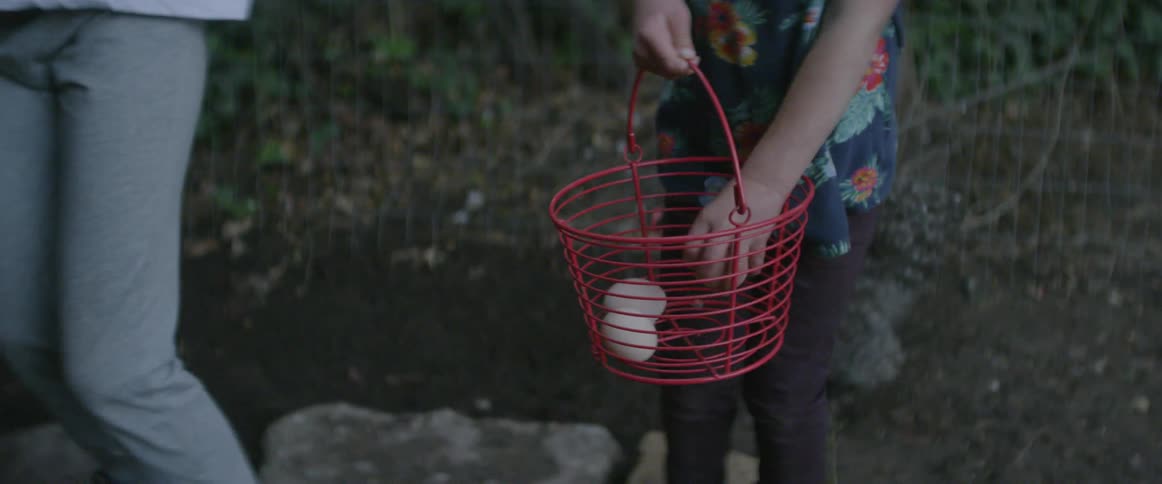 Young children gather eggs and place them in a red basket