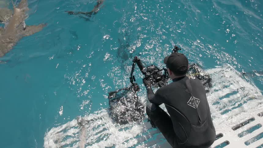 A diver is holding a camera off the deck of a boat as sharks circle nearby