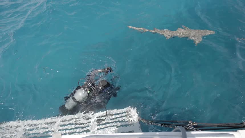 A diver gets into the water with a camera
