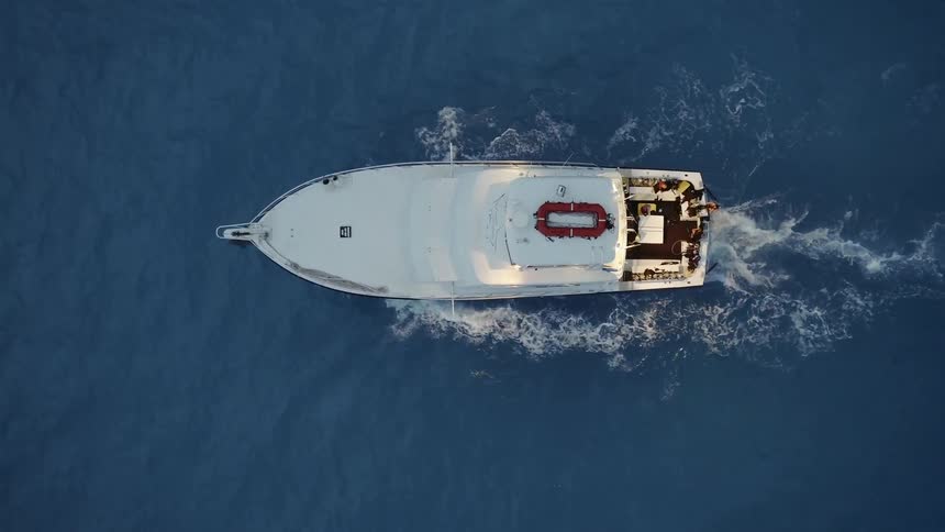 Dolphins are swimming at the prow of a ship during the day