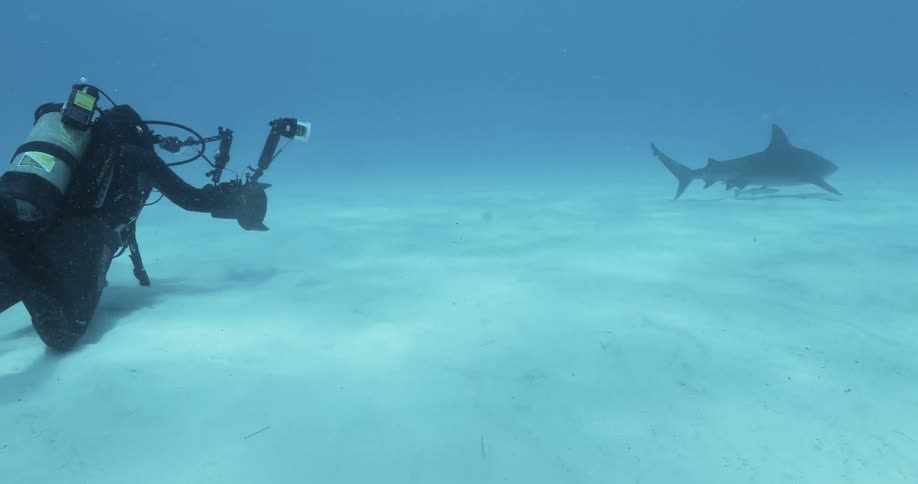 Deep sea diver photographs a shark on the ocean floor