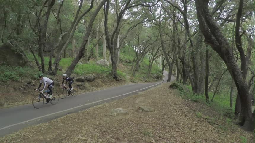 People riding their bikes down a curving road