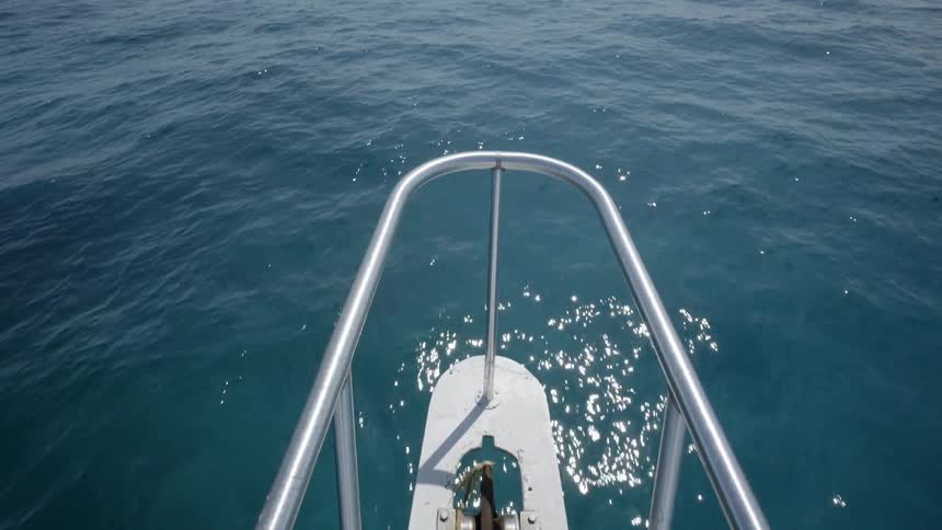 A boat travels on the water