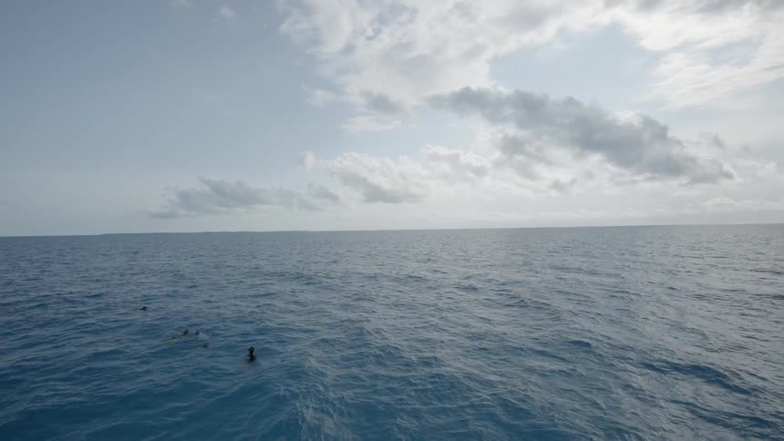 Divers tread water in the ocean