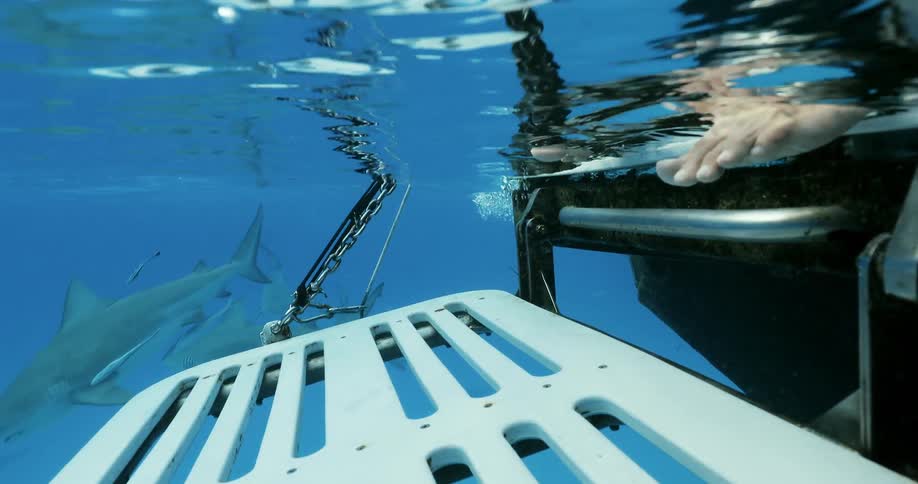 Feet stand on a ladder at the edge of a boat