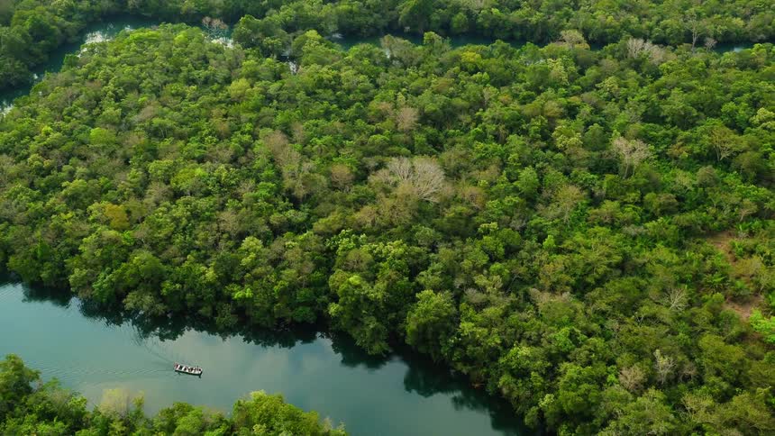 A boat floats down a river