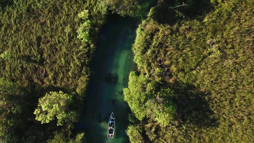 A boat floats down a river
