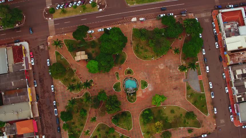 City block of trees sits between the streets