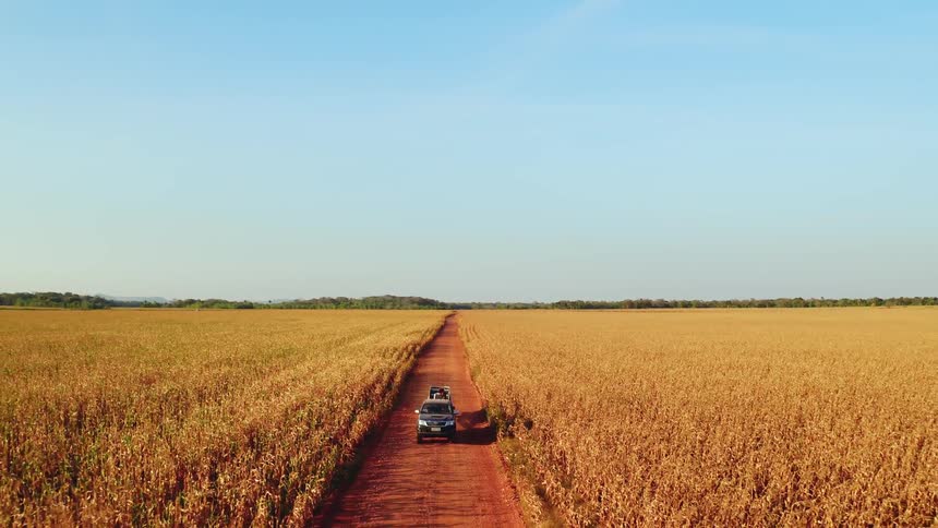 A pickup truck drives on a dirt road between two crop fields