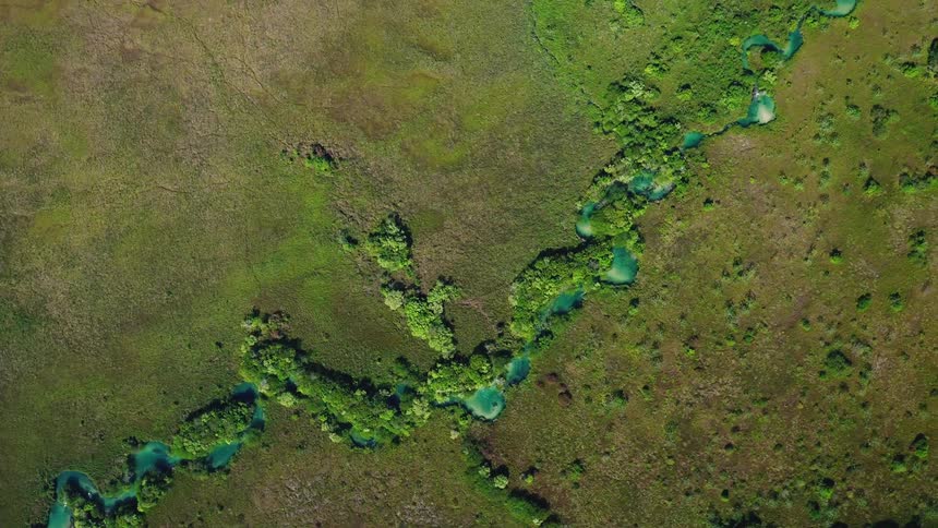 A winding river than the trees lining the banks