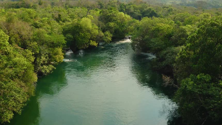 A river flows through dense trees