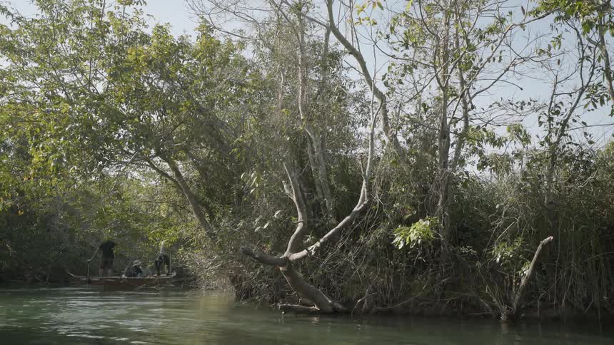 Several people ride a small boat down a tree lined river