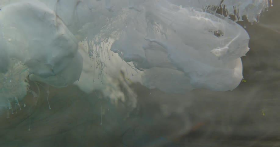 White clouds of paint float in water