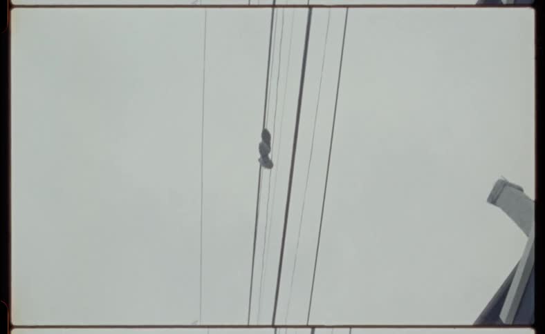 Sneakers hang from power lines outside of buildings