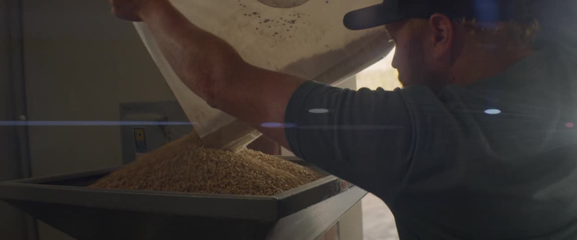A man pours grain from a bag