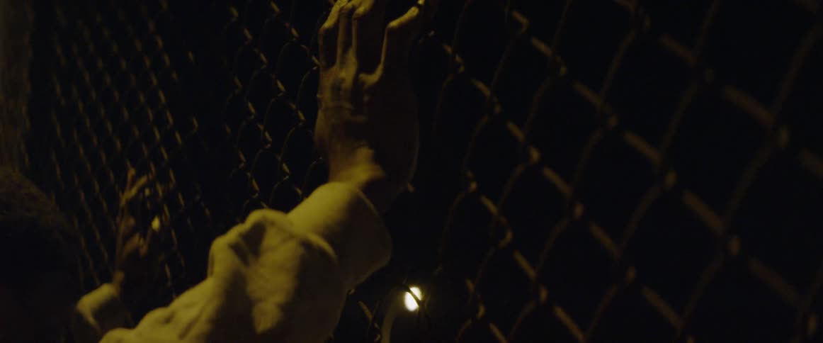 A person rests their hands on a chain link fence at night