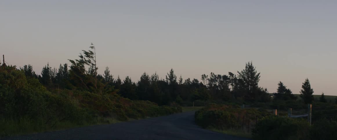 The sun is setting on this small trail