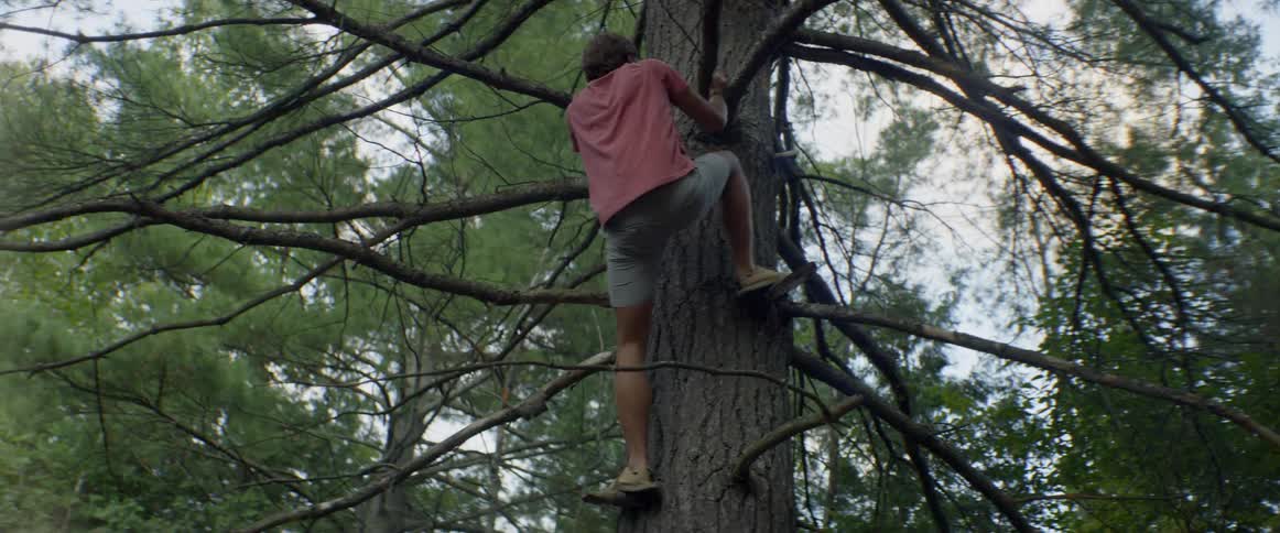 A man climbs up the tree slowly