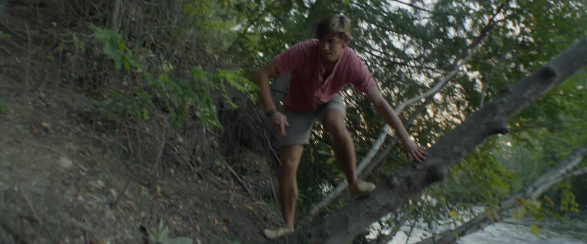 A man climbs over trees next to a river