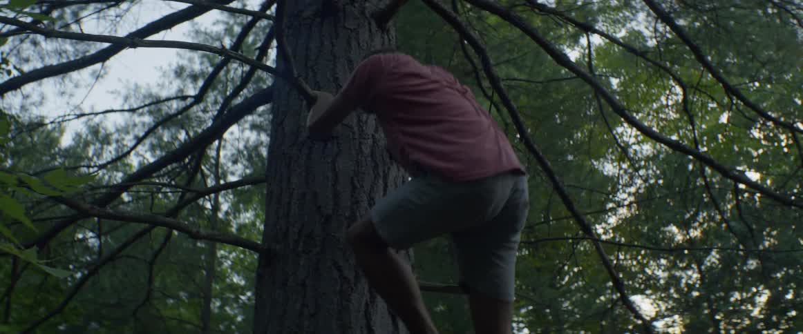 A man slowly climbs down the tree