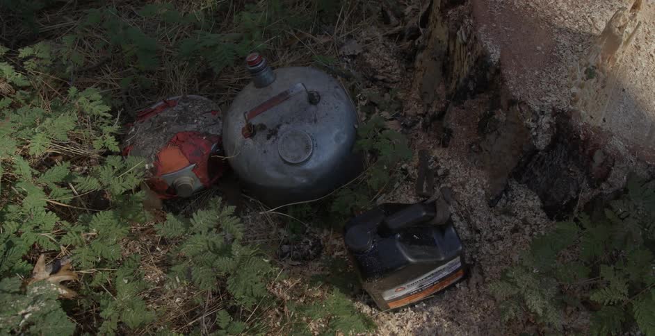 Metal objects sit in the weeds