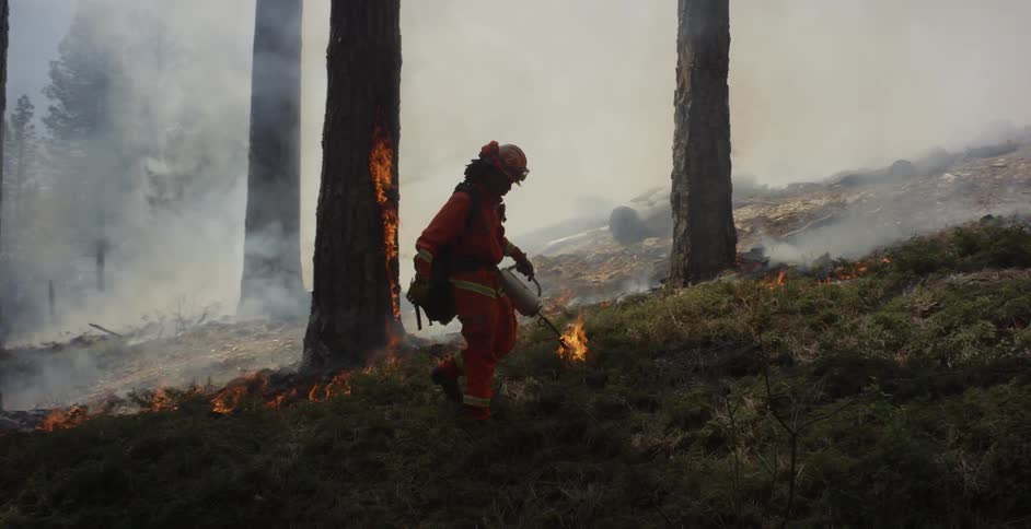 Man with a torch starts fires in the forest