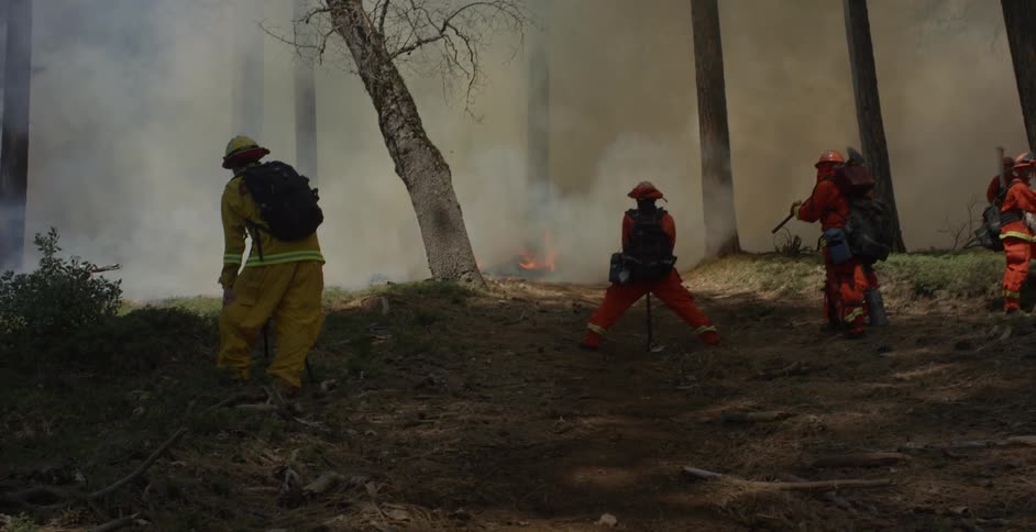 Three firefighters stand in a smoky forest