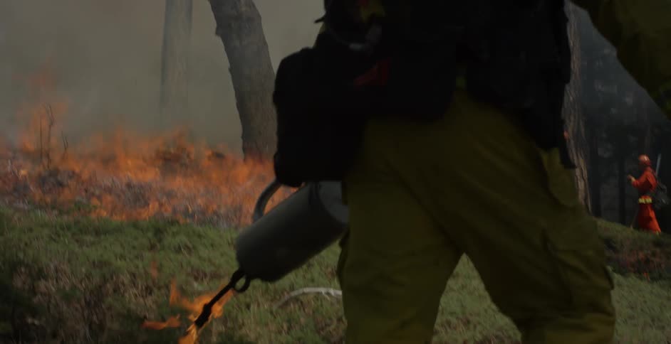 A firefighter is carrying a lit torch as he moves along the edges of a brush fire