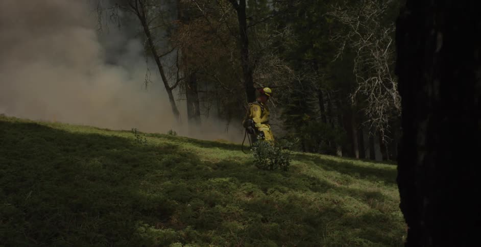 A firefighter walks in a forest